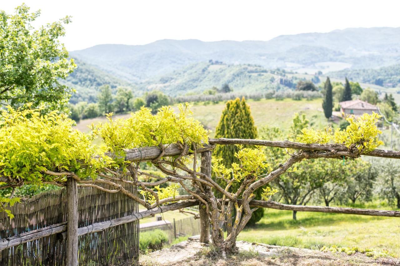 La Sala Bauernhof Greve in Chianti